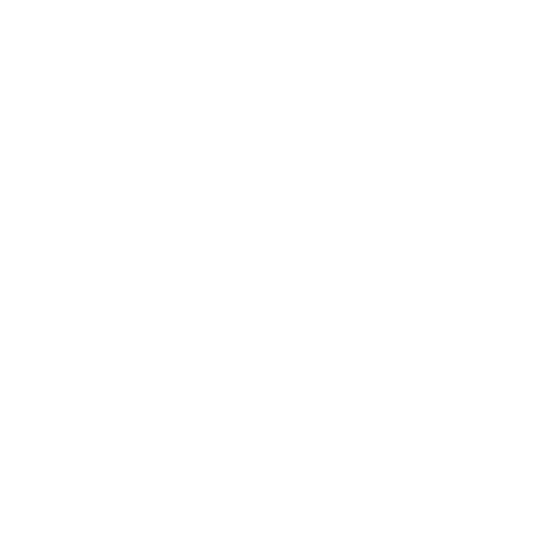 Everlasting Love of Flowers